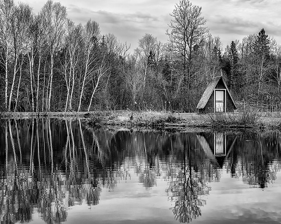 Reflections