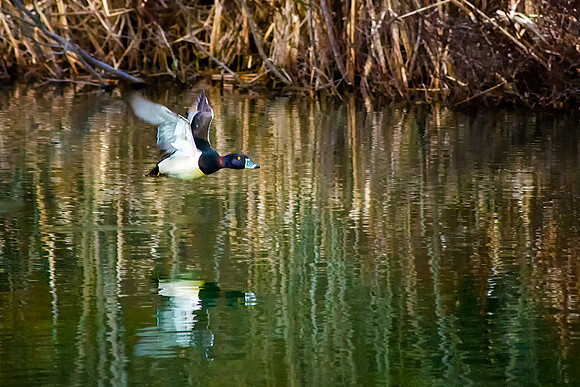 Taking Off