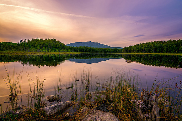 Sunday Pond