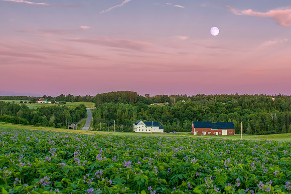 Moon Rise over the Farm