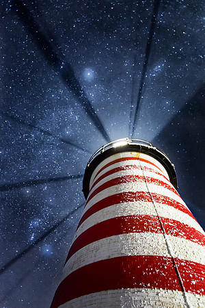 Looking Up