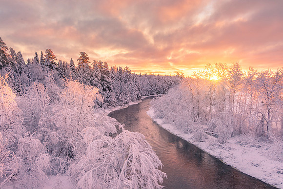 Monticello Wonderland