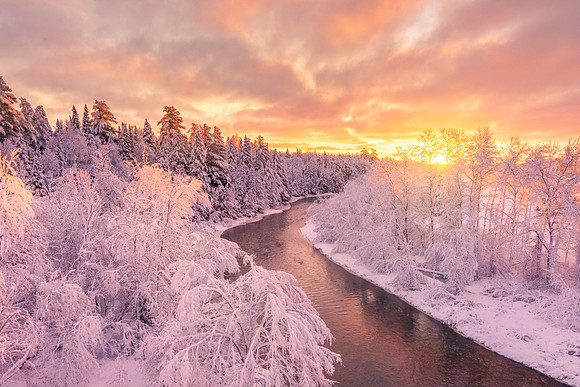 Monticello Wonderland