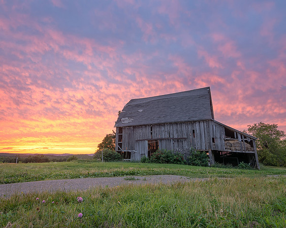 County Life