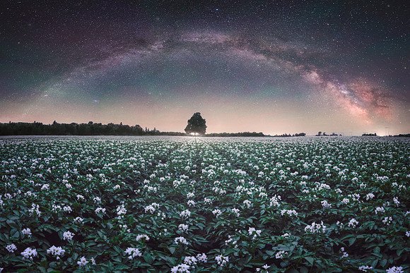 Spirits of the County
