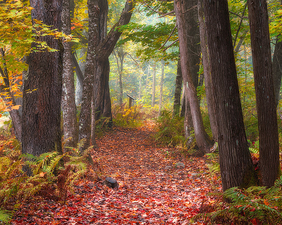 Walking Trail