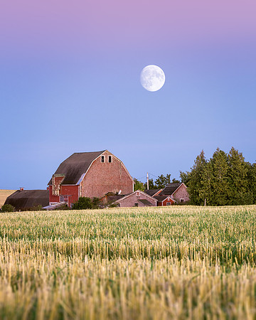 Harvest Moon