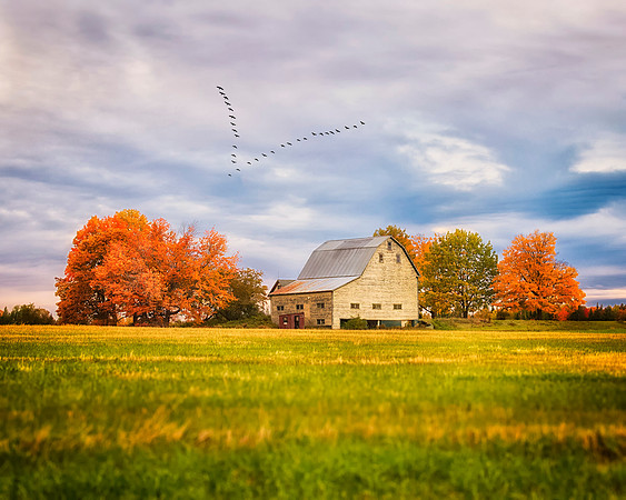 Fall in the County