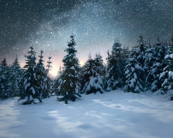 Silent Night