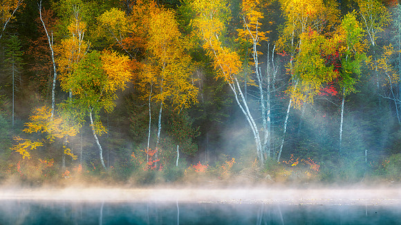 Fall Morning