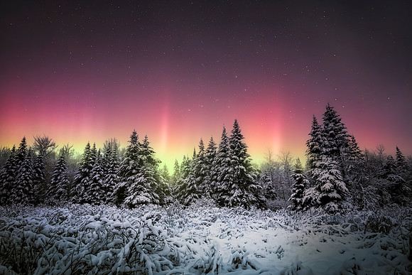 Winter Dance