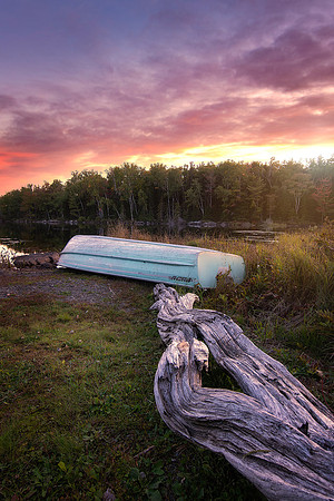 Drew's Lake Driftwood