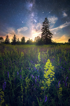 Milky Way
