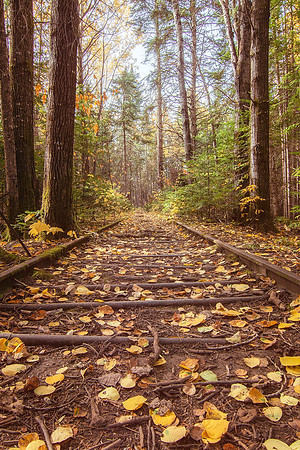 Road Less Traveled