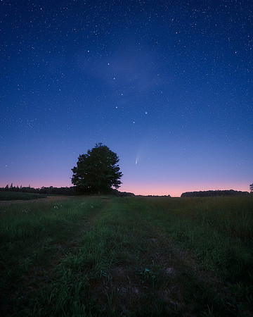 Summer Nights