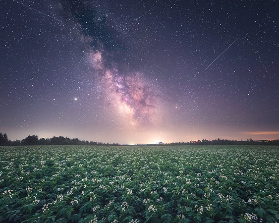 County Nights