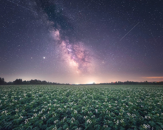 County Nights