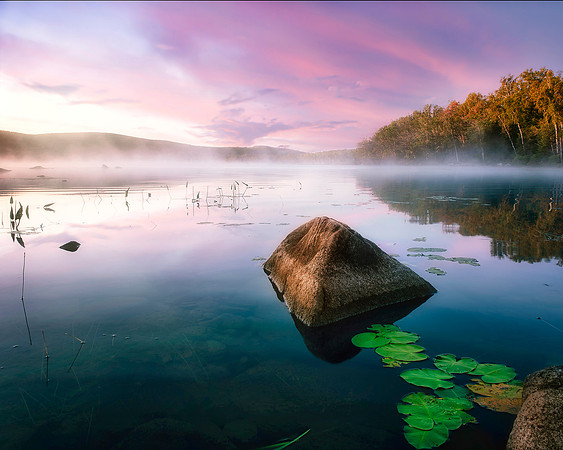Drew's Lake Fog