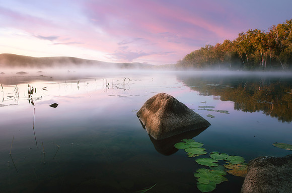 Drew's Lake Fog