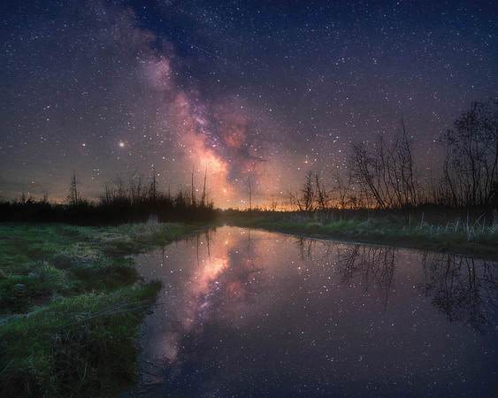 Galactic Swamp