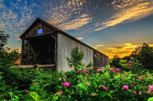 Watson Settlement Bridge